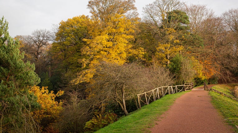 Autumn leaves on trees at the side of the lake at Nostell